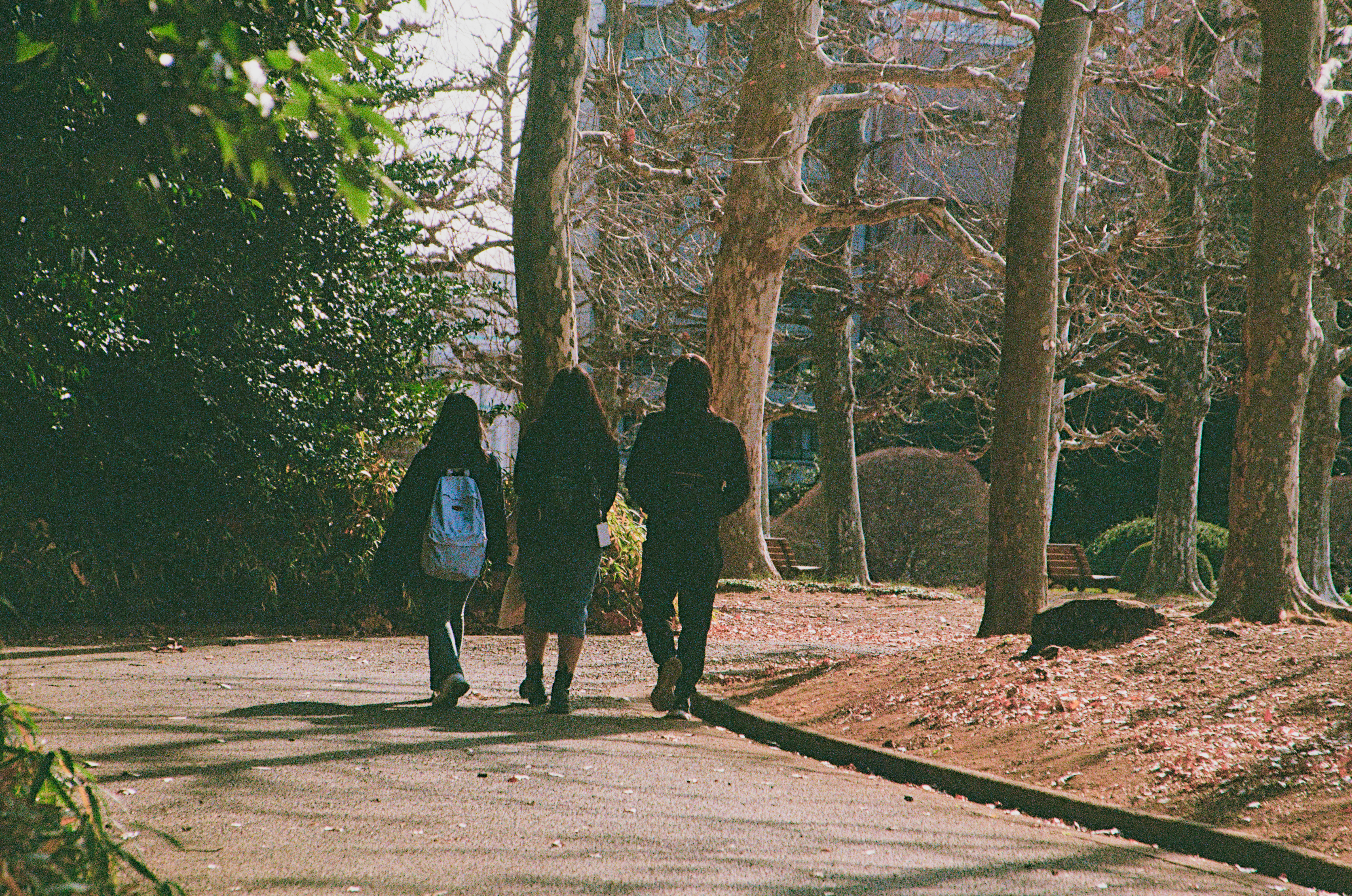 Japan Album